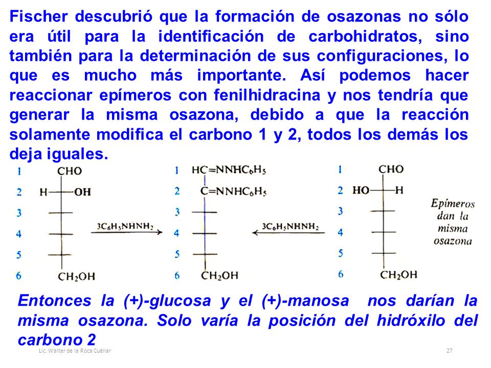Fischer descubrió que la formación de osazonas no sólo era útil para la identificación de carbohidratos, sino también para la determinación de sus configuraciones, lo que es mucho más importante. Así podemos hacer reaccionar epímeros con fenilhidracina y nos tendría que generar la misma osazona, debido a que la reacción solamente modifica el carbono 1 y 2, todos los demás los deja iguales.