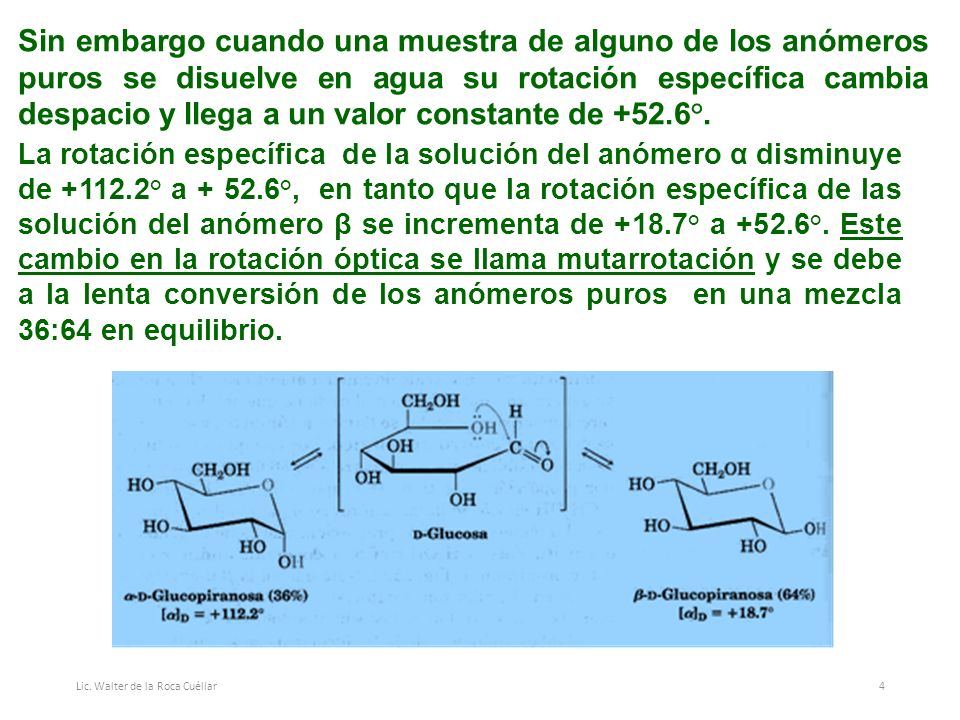Sin embargo cuando una muestra de alguno de los anómeros puros se disuelve en agua su rotación específica cambia despacio y llega a un valor constante de +52.6°.