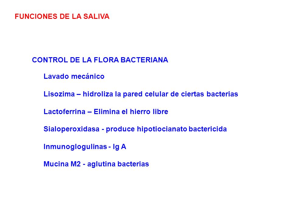 FUNCIONES DE LA SALIVA CONTROL DE LA FLORA BACTERIANA. Lavado mecánico. Lisozima – hidroliza la pared celular de ciertas bacterias.