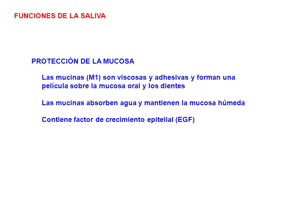 FUNCIONES DE LA SALIVA PROTECCIÓN DE LA MUCOSA. Las mucinas (M1) son viscosas y adhesivas y forman una película sobre la mucosa oral y los dientes.