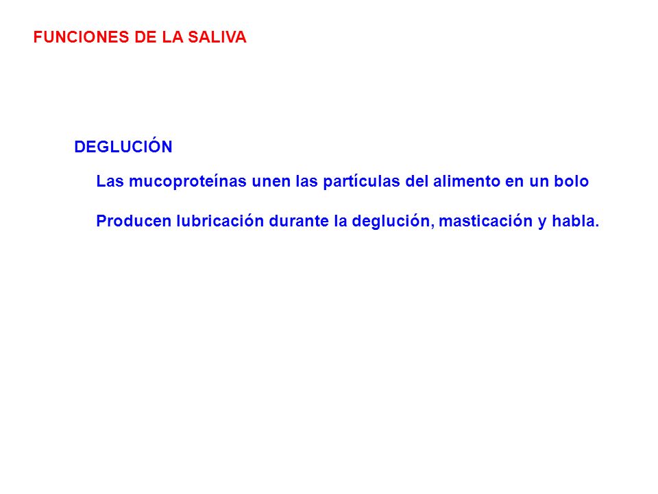 FUNCIONES DE LA SALIVA DEGLUCIÓN. Las mucoproteínas unen las partículas del alimento en un bolo.