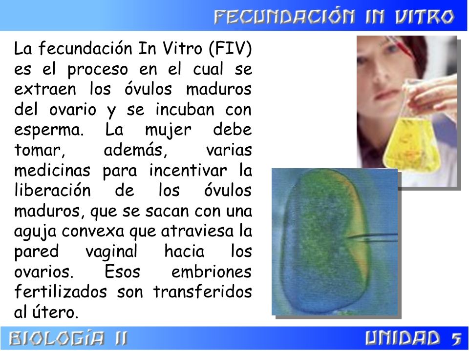 La fecundación In Vitro (FIV) es el proceso en el cual se extraen los óvulos maduros del ovario y se incuban con esperma.