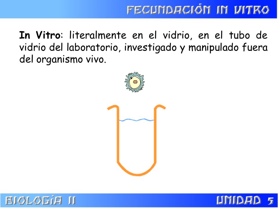 In Vitro: literalmente en el vidrio, en el tubo de vidrio del laboratorio, investigado y manipulado fuera del organismo vivo.