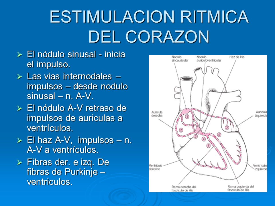 ESTIMULACION RITMICA DEL CORAZON