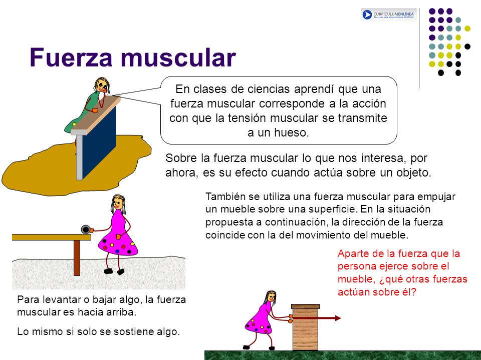 Fuerza muscular En clases de ciencias aprendí que una fuerza muscular corresponde a la acción con que la tensión muscular se transmite a un hueso.