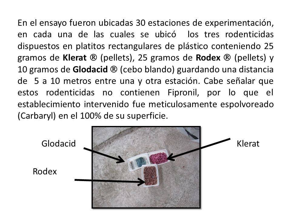 En el ensayo fueron ubicadas 30 estaciones de experimentación, en cada una de las cuales se ubicó los tres rodenticidas dispuestos en platitos rectangulares de plástico conteniendo 25 gramos de Klerat  (pellets), 25 gramos de Rodex  (pellets) y 10 gramos de Glodacid  (cebo blando) guardando una distancia de 5 a 10 metros entre una y otra estación.