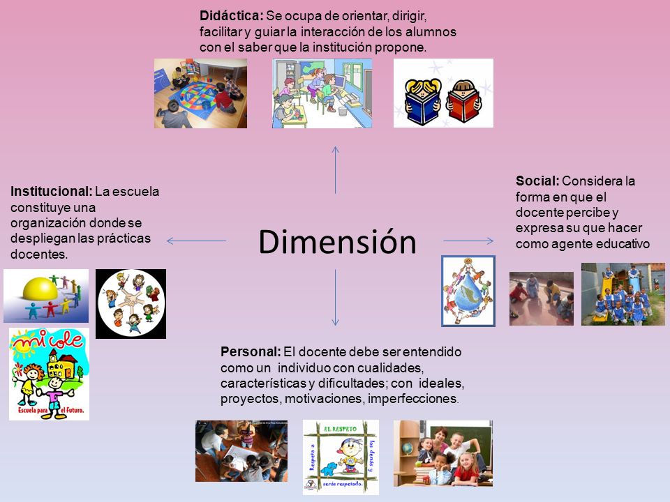 Didáctica: Se ocupa de orientar, dirigir, facilitar y guiar la interacción de los alumnos con el saber que la institución propone.