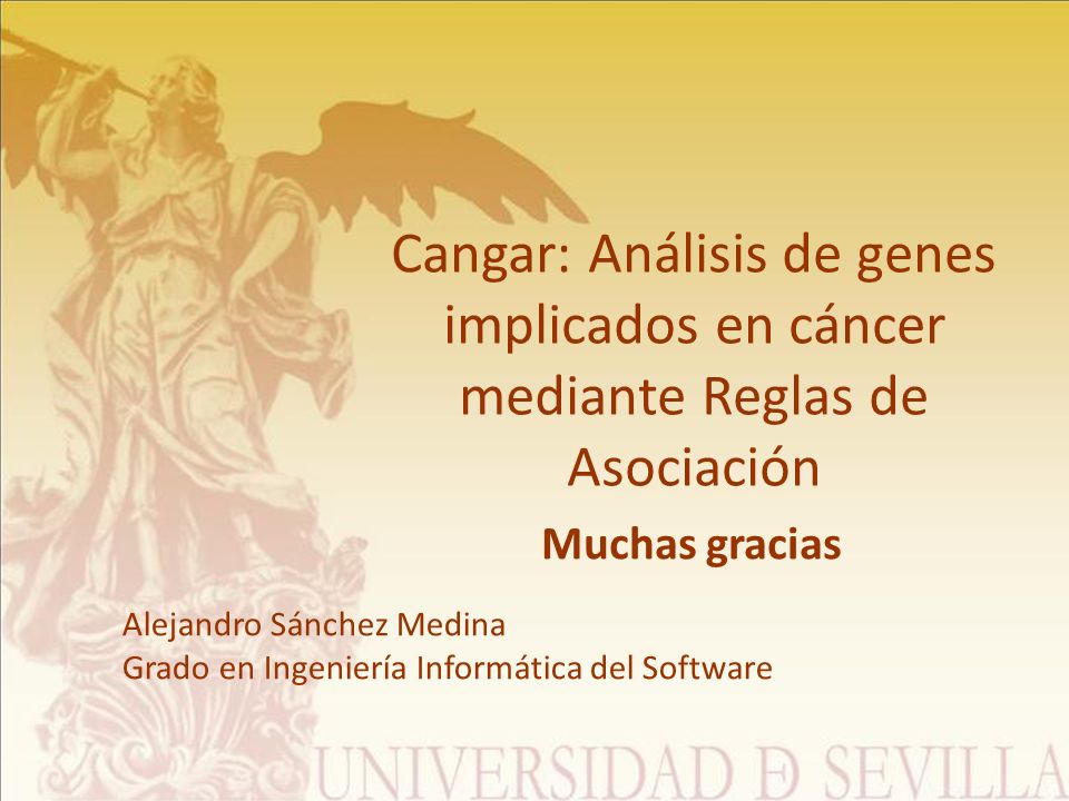 Alejandro Sánchez Medina Grado en Ingeniería Informática del Software