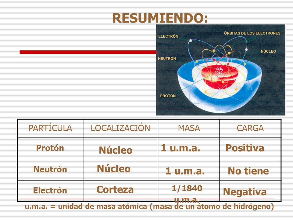 RESUMIENDO: 1 u.m.a. Positiva Núcleo Núcleo 1 u.m.a. No tiene Corteza