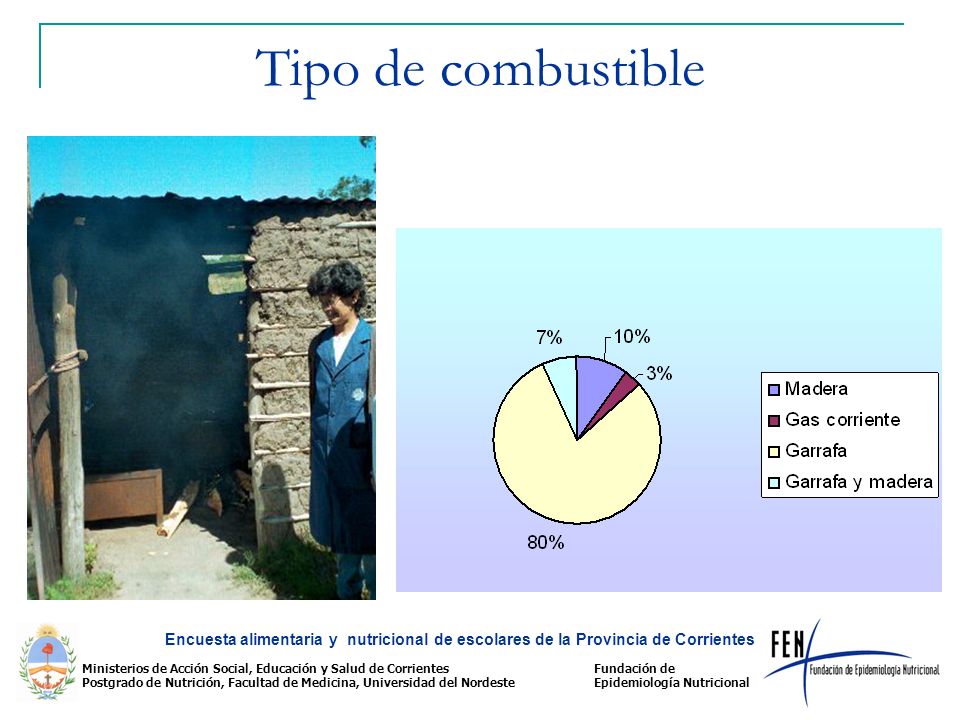 Tipo de combustible Encuesta alimentaria y nutricional de escolares de la Provincia de Corrientes.
