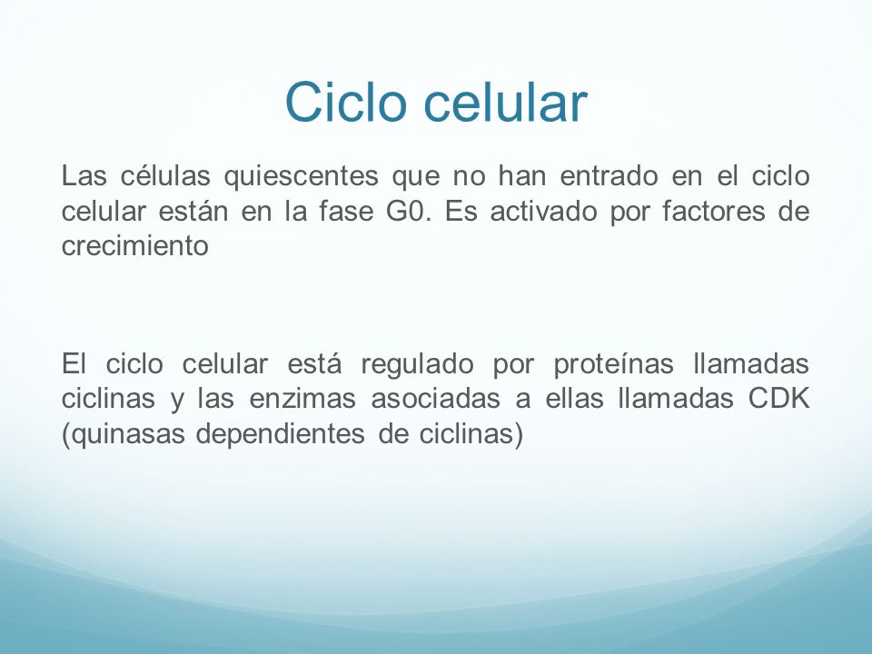 Ciclo celular Las células quiescentes que no han entrado en el ciclo celular están en la fase G0. Es activado por factores de crecimiento.