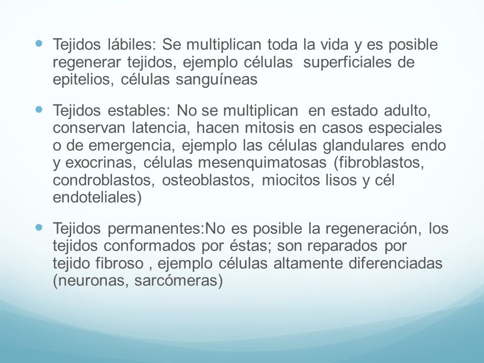 Tejidos lábiles: Se multiplican toda la vida y es posible regenerar tejidos, ejemplo células superficiales de epitelios, células sanguíneas