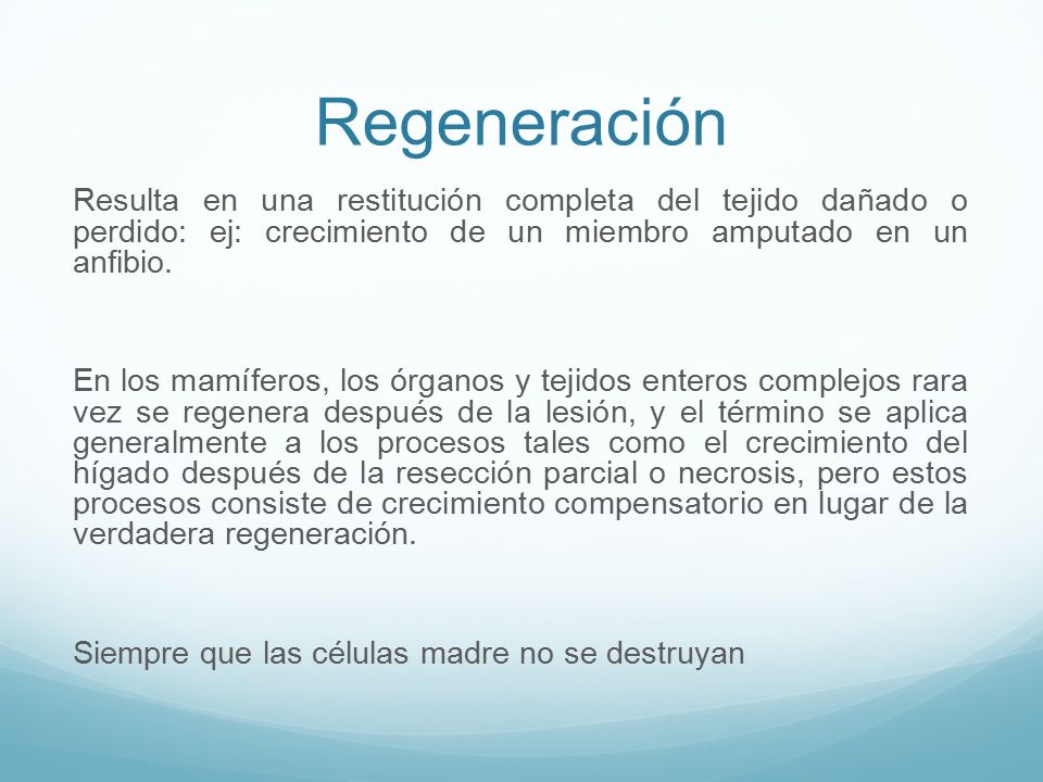 Regeneración Resulta en una restitución completa del tejido dañado o perdido: ej: crecimiento de un miembro amputado en un anfibio.
