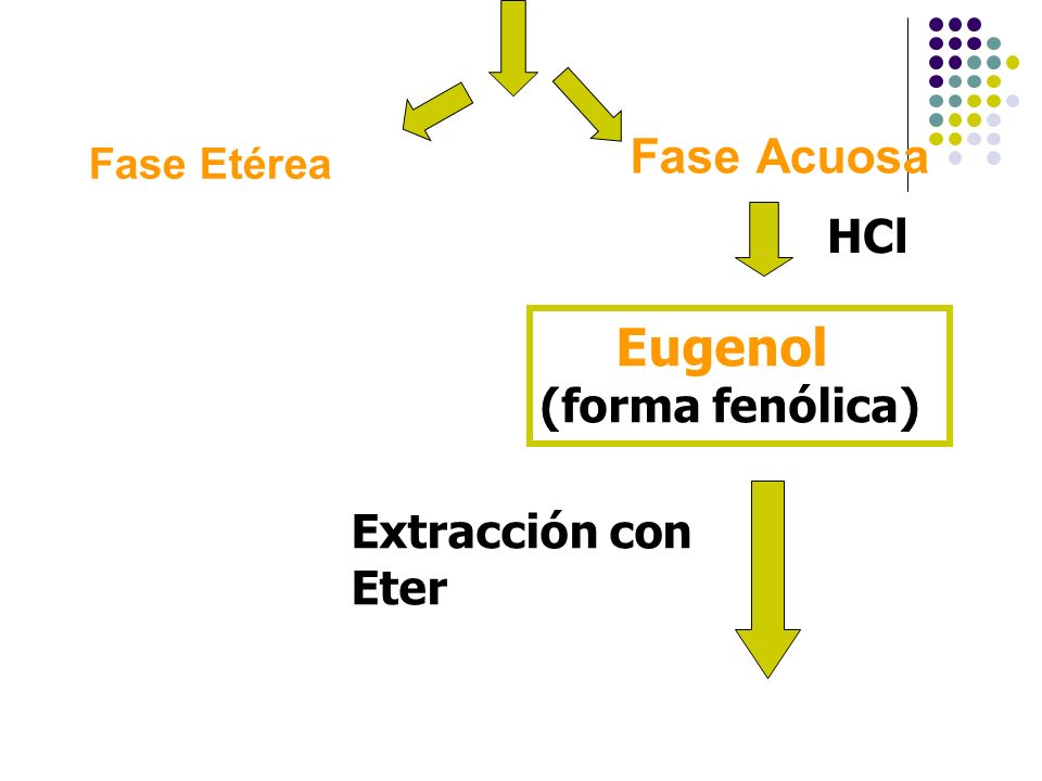 Eugenol Fase Acuosa HCl (forma fenólica) Extracción con Eter