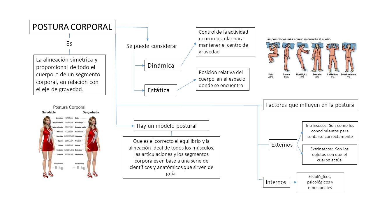 POSTURA CORPORAL Es Dinámica Estática Se puede considerar