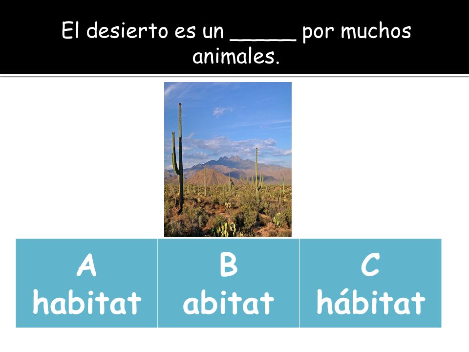 El desierto es un _____ por muchos animales.