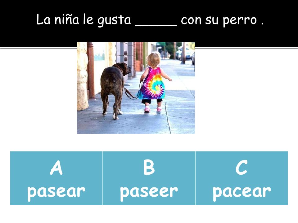 La niña le gusta _____ con su perro .