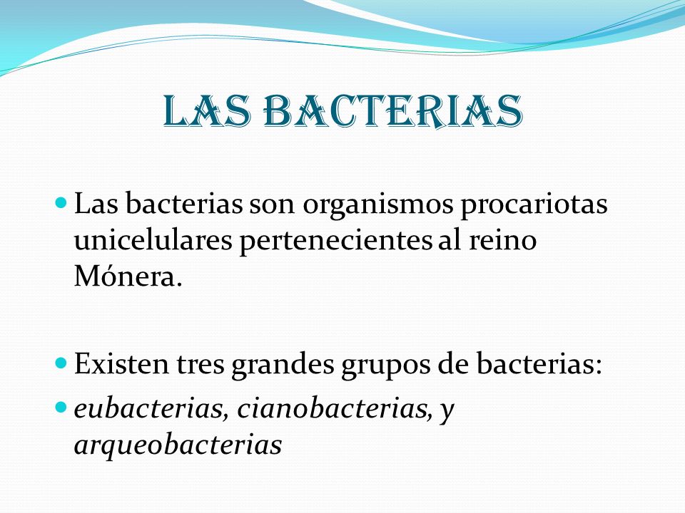 Las bacterias Las bacterias son organismos procariotas unicelulares pertenecientes al reino Mónera.
