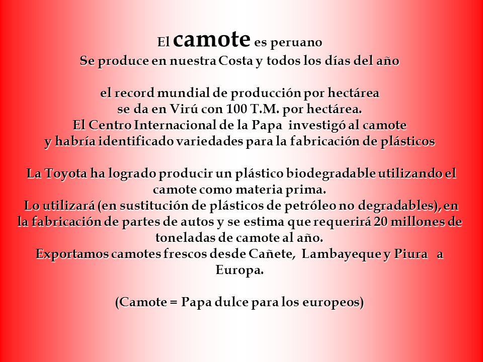 El camote es peruano Se produce en nuestra Costa y todos los días del año el record mundial de producción por hectárea se da en Virú con 100 T.M.