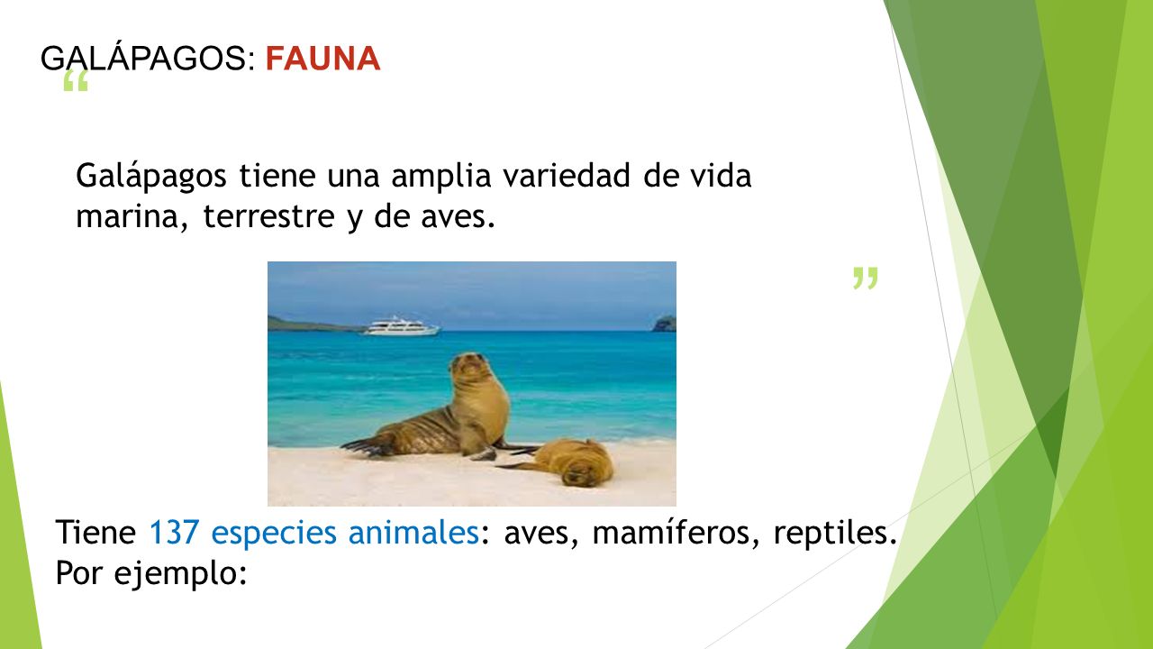 GALÁPAGOS: FAUNA Galápagos tiene una amplia variedad de vida marina, terrestre y de aves.