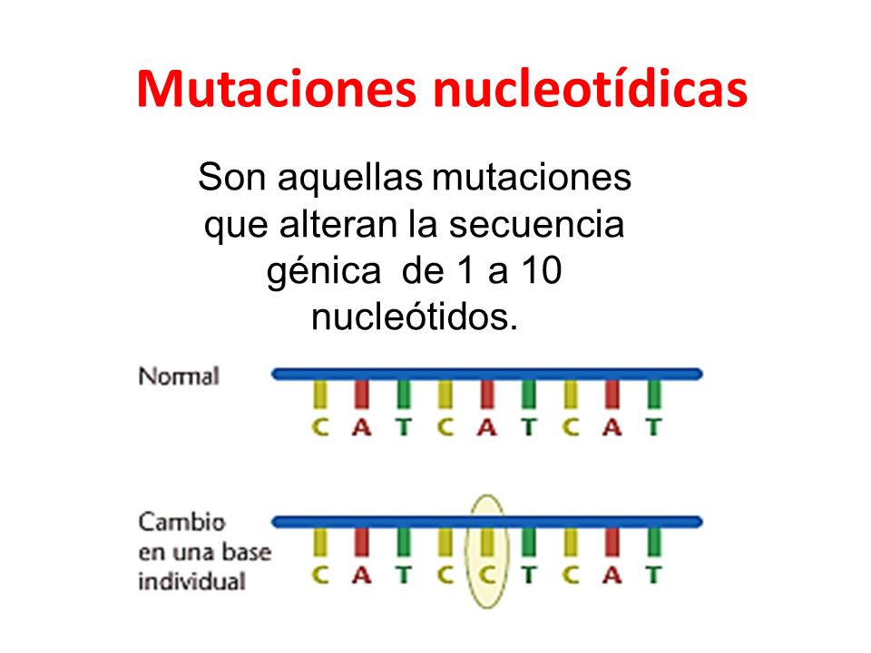 Mutaciones nucleotídicas