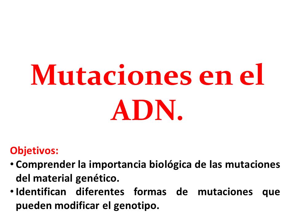 Mutaciones en el ADN. Objetivos: