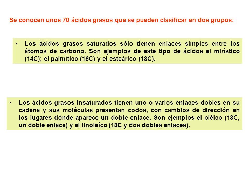 Se conocen unos 70 ácidos grasos que se pueden clasificar en dos grupos: