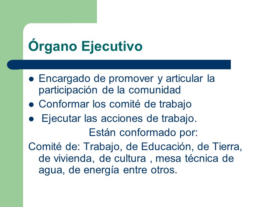 Órgano Ejecutivo Encargado de promover y articular la participación de la comunidad. Conformar los comité de trabajo.