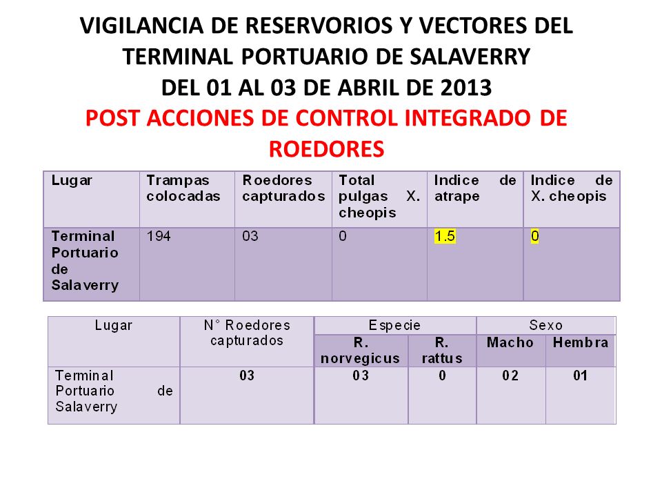 VIGILANCIA DE RESERVORIOS Y VECTORES DEL TERMINAL PORTUARIO DE SALAVERRY DEL 01 AL 03 DE ABRIL DE 2013 POST ACCIONES DE CONTROL INTEGRADO DE ROEDORES