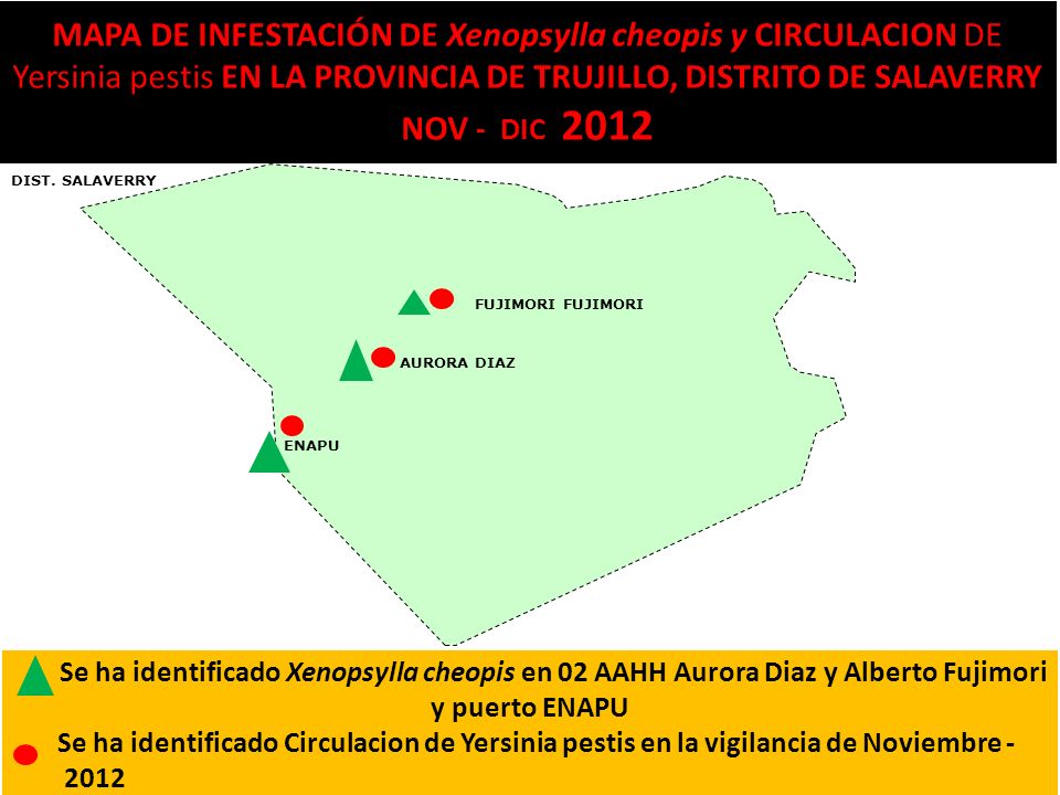 MAPA DE INFESTACIÓN DE Xenopsylla cheopis y CIRCULACION DE Yersinia pestis EN LA PROVINCIA DE TRUJILLO, DISTRITO DE SALAVERRY NOV - DIC 2012