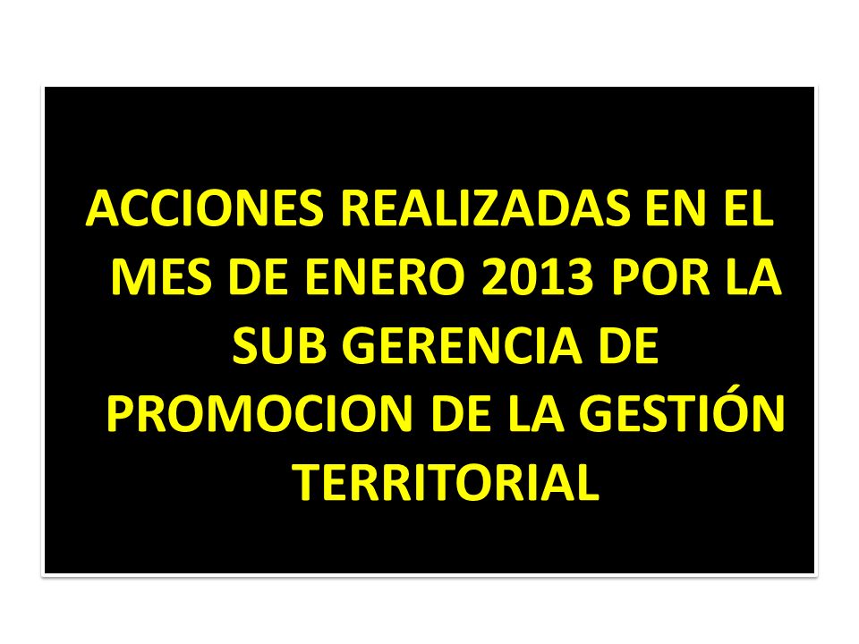 ACCIONES REALIZADAS EN EL MES DE ENERO 2013 POR LA SUB GERENCIA DE PROMOCION DE LA GESTIÓN TERRITORIAL
