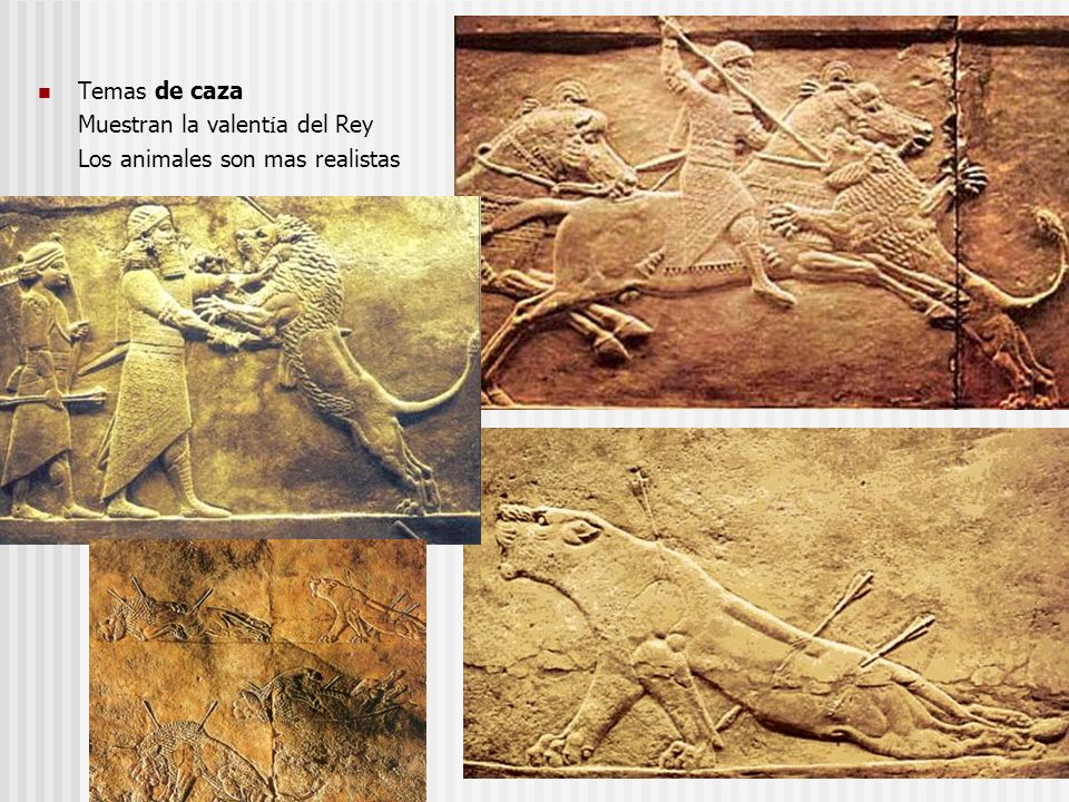 Temas de caza Muestran la valentía del Rey Los animales son mas realistas