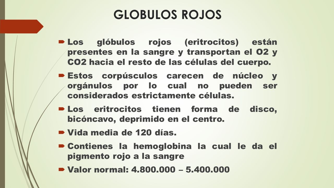 GLOBULOS ROJOS Los glóbulos rojos (eritrocitos) están presentes en la sangre y transportan el O2 y CO2 hacia el resto de las células del cuerpo.