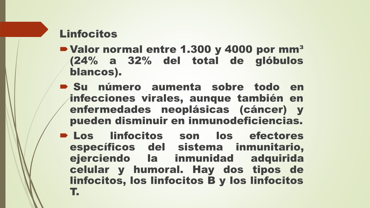 Linfocitos Valor normal entre y 4000 por mm³ (24% a 32% del total de glóbulos blancos).