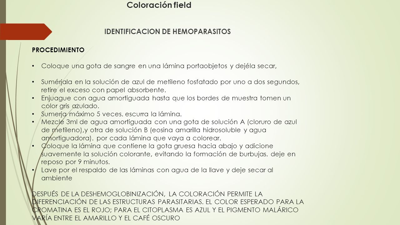 Coloración field IDENTIFICACION DE HEMOPARASITOS PROCEDIMIENTO