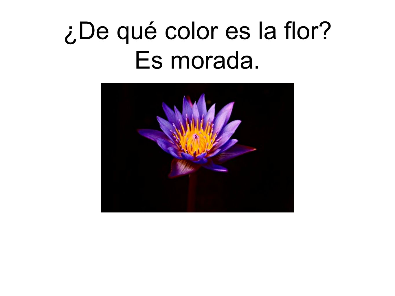 ¿De qué color es la flor Es morada.