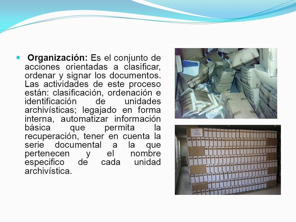 Organización: Es el conjunto de acciones orientadas a clasificar, ordenar y signar los documentos.