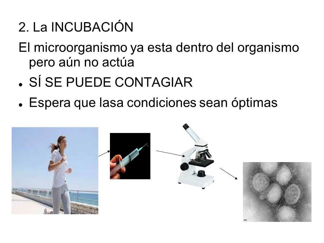 2. La INCUBACIÓN El microorganismo ya esta dentro del organismo pero aún no actúa. SÍ SE PUEDE CONTAGIAR.