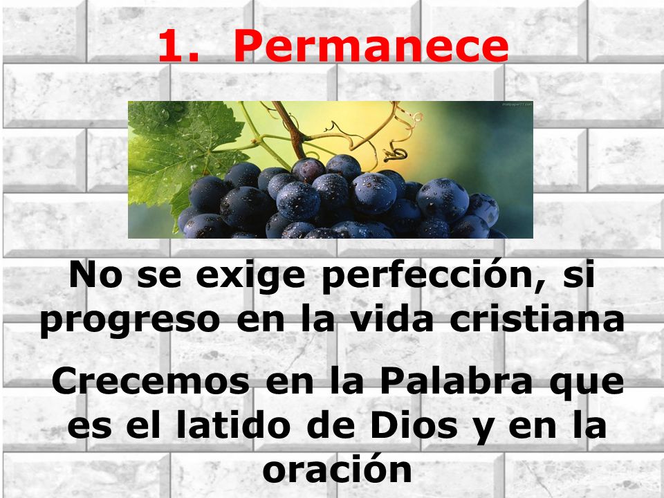 1. Permanece No se exige perfección, si progreso en la vida cristiana