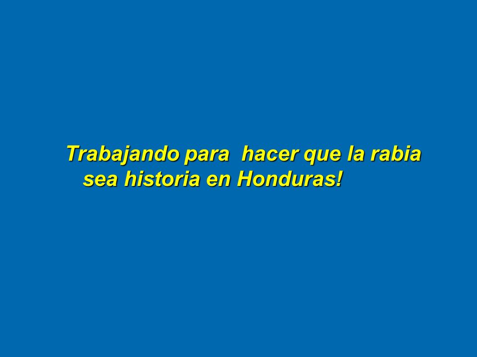 Trabajando para hacer que la rabia sea historia en Honduras!