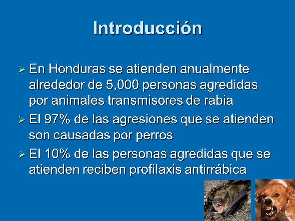 Introducción En Honduras se atienden anualmente alrededor de 5,000 personas agredidas por animales transmisores de rabia.