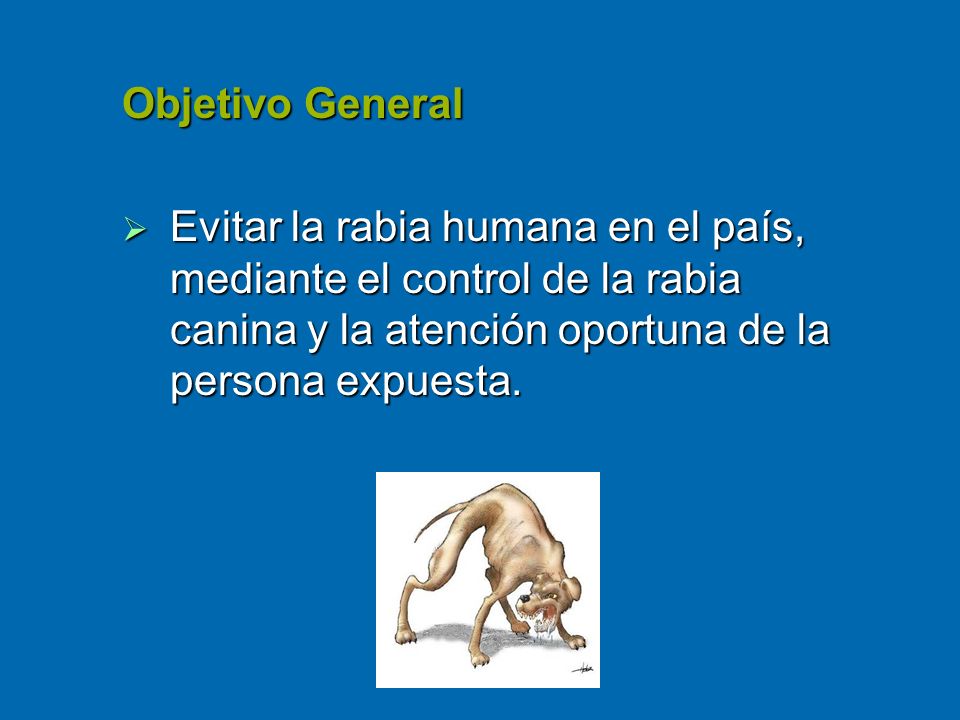 Objetivo General Evitar la rabia humana en el país, mediante el control de la rabia canina y la atención oportuna de la persona expuesta.