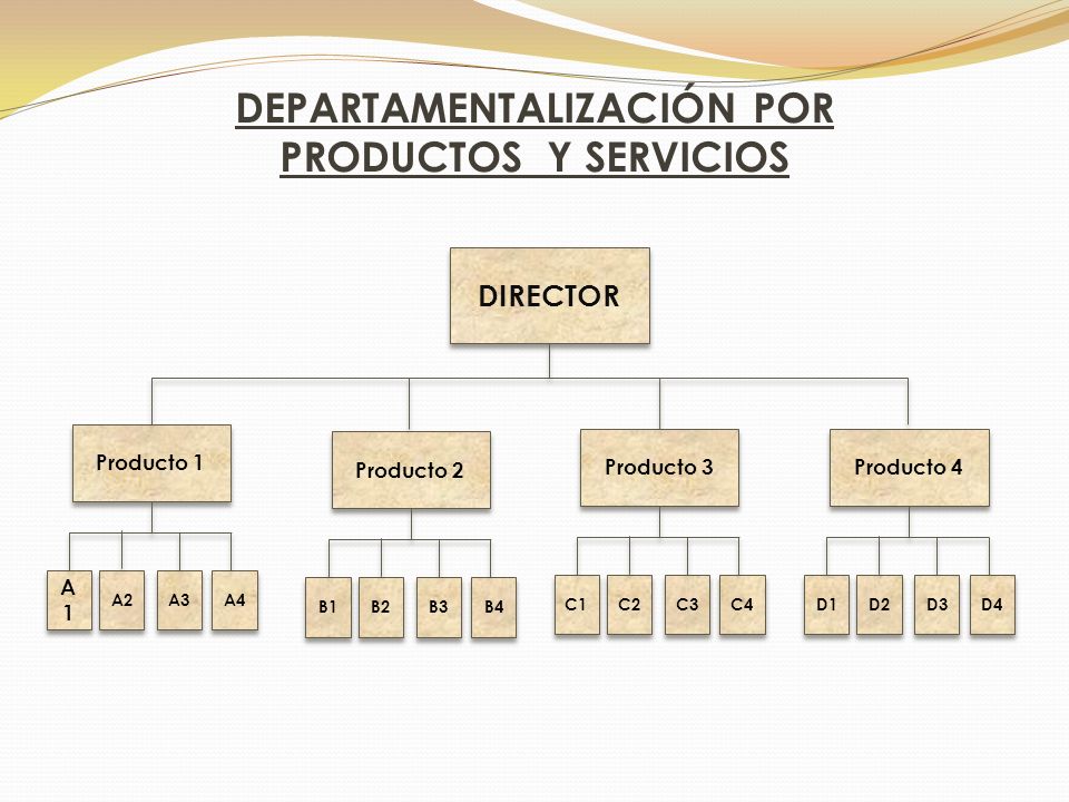 DEPARTAMENTALIZACIÓN POR PRODUCTOS Y SERVICIOS
