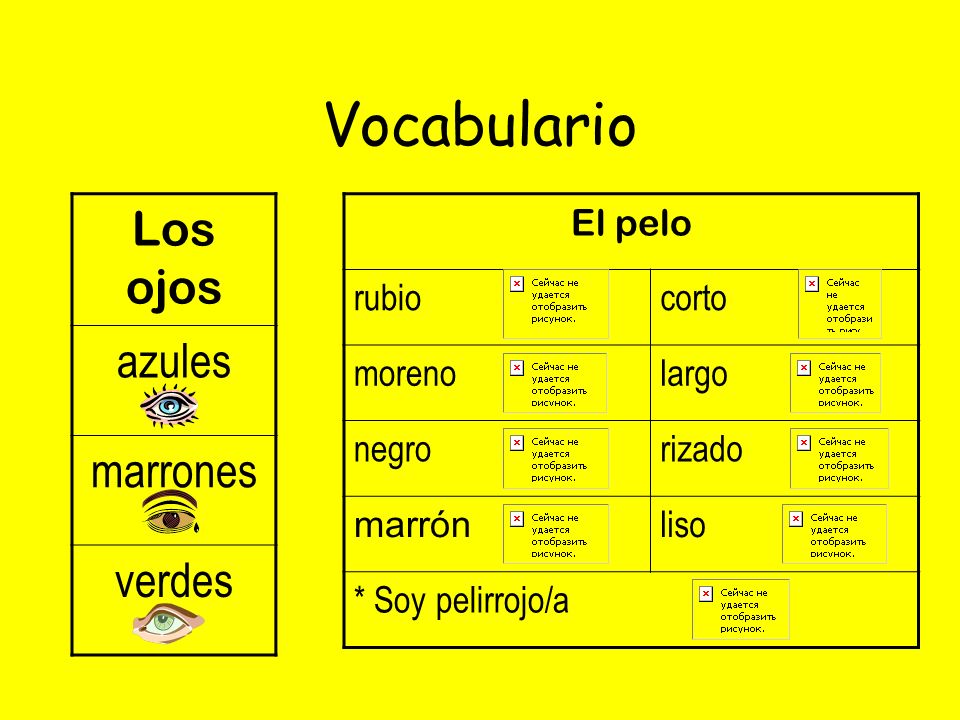 Vocabulario Los ojos azules marrones verdes El pelo rubio corto moreno