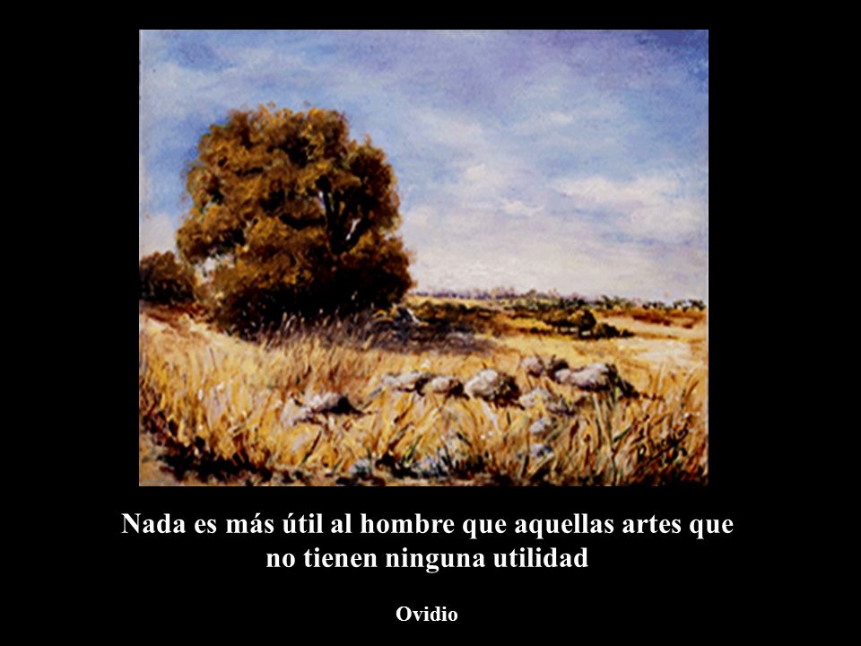 Nada es más útil al hombre que aquellas artes que no tienen ninguna utilidad