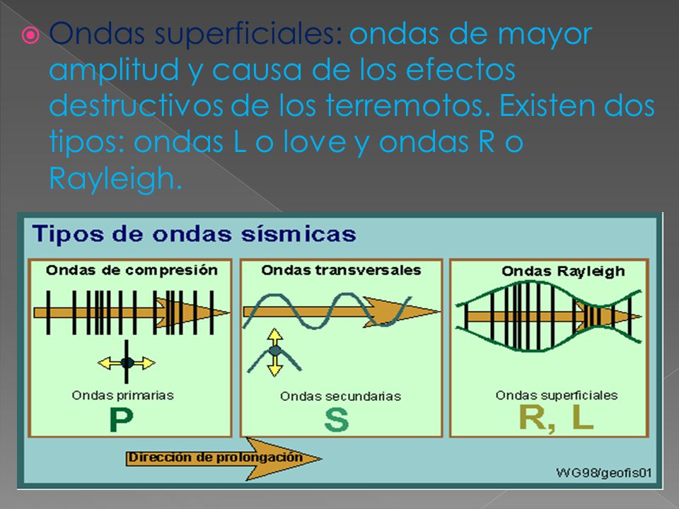 Ondas superficiales: ondas de mayor amplitud y causa de los efectos destructivos de los terremotos.