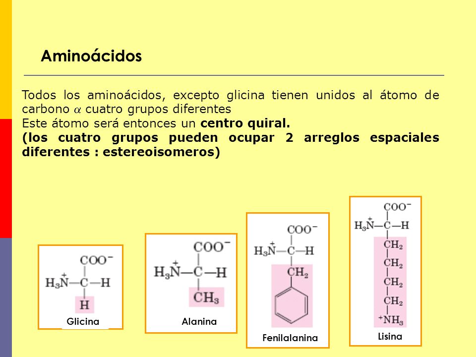 Aminoácidos Todos los aminoácidos, excepto glicina tienen unidos al átomo de carbono  cuatro grupos diferentes.