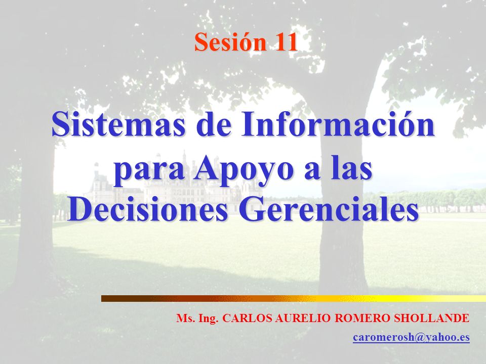 Sistemas de Información para Apoyo a las Decisiones Gerenciales