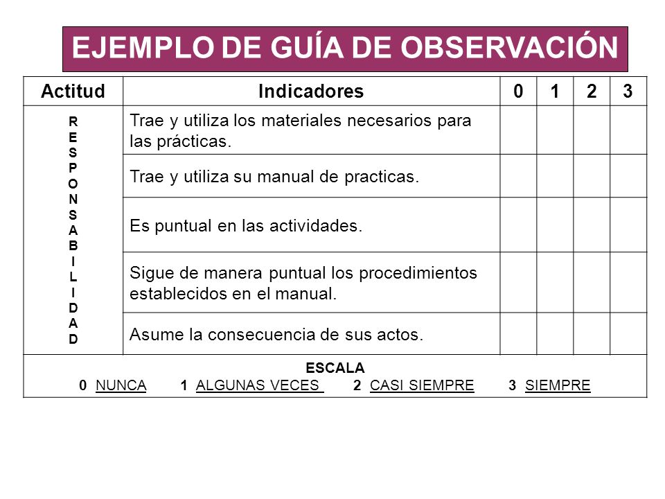 EJEMPLO DE GUÍA DE OBSERVACIÓN