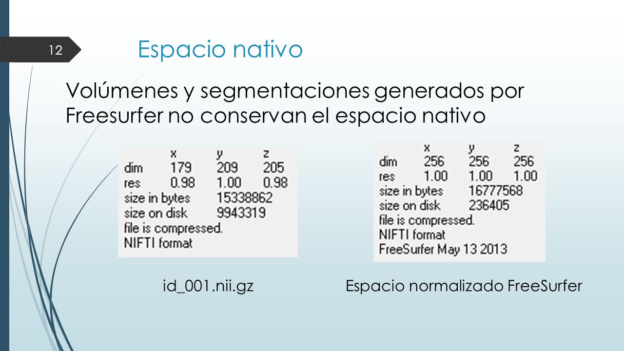 Espacio nativo Volúmenes y segmentaciones generados por Freesurfer no conservan el espacio nativo. id_001.nii.gz.